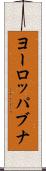 ヨーロッパブナ Scroll