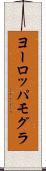 ヨーロッパモグラ Scroll