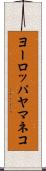 ヨーロッパヤマネコ Scroll