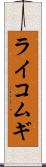 ライコムギ Scroll