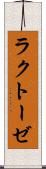 ラクトーゼ Scroll