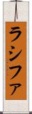 Rashifa Scroll