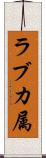 ラブカ属 Scroll