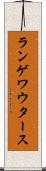 ランゲワウタース Scroll
