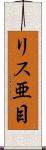 リス亜目 Scroll