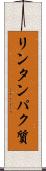 リンタンパク質 Scroll
