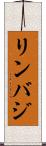リンバジ Scroll
