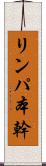 リンパ本幹 Scroll