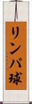 リンパ球 Scroll