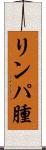 リンパ腫 Scroll