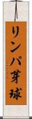 リンパ芽球 Scroll