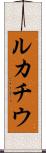 ルカチウ Scroll