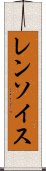 レンソイス Scroll