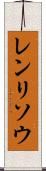 レンリソウ Scroll