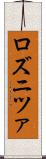 ロズニツァ Scroll