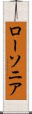 ローソニア Scroll