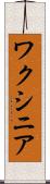ワクシニア Scroll