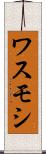 ワスモシ Scroll
