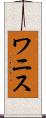 ワニス Scroll