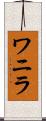ワニラ Scroll