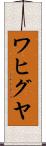 ワヒグヤ Scroll