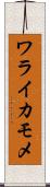 ワライカモメ Scroll
