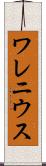 ワレニウス Scroll