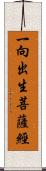 一向出生菩薩經 Scroll