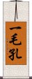 一毛孔 Scroll