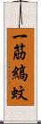 一筋縞蚊 Scroll