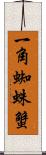 一角蜘蛛蟹 Scroll