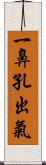 一鼻孔出氣 Scroll