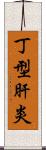 丁型肝炎 Scroll