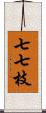 七七枝 Scroll