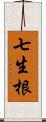 七生根 Scroll