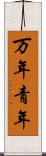 万年青年 Scroll