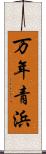 万年青浜 Scroll