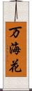 万海花 Scroll
