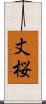 丈桜 Scroll