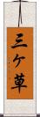 三ヶ草 Scroll