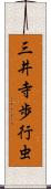 三井寺歩行虫 Scroll