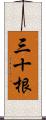 三十根 Scroll