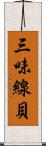 三味線貝 Scroll