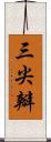 三尖瓣 Scroll