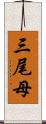 三尾母 Scroll