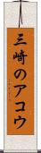 三崎のアコウ Scroll