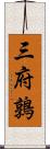 三府鶉 Scroll