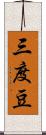 三度豆 Scroll