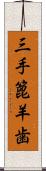 三手篦羊歯 Scroll