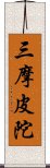 三摩皮陀 Scroll